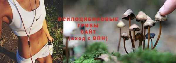 гидра Белокуриха