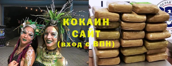 гидра Белокуриха