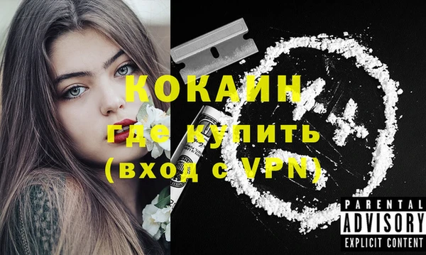 гидра Белокуриха